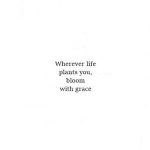 Meet your Posher, Anna